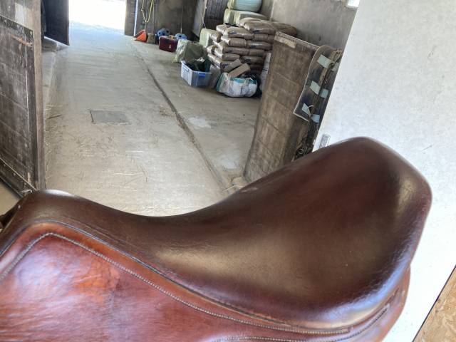 Sella da dressage Belloir Saumur 16" - 2013