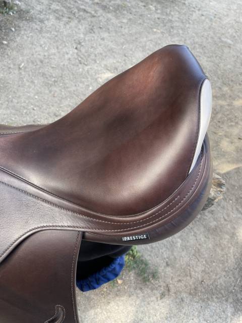 Sella da salto ostacoli Prestige Italia  17.5" - 2025