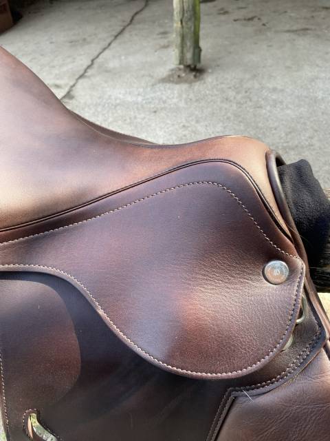 Sella da salto ostacoli Prestige Italia  17.5" - 2025