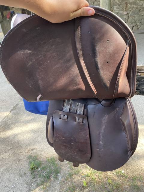Sella da salto ostacoli Prestige Italia  17.5" - 2025