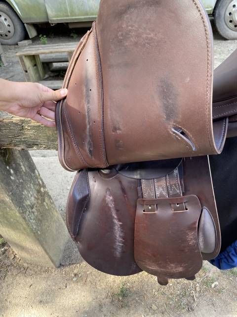 Sella da salto ostacoli Prestige Italia  17.5" - 2025