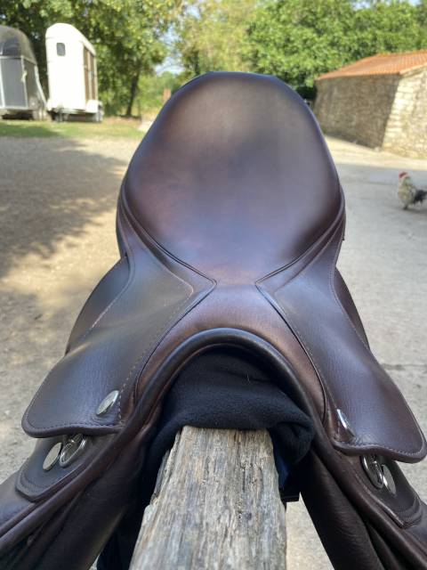 Sella da salto ostacoli Prestige Italia  17.5" - 2025
