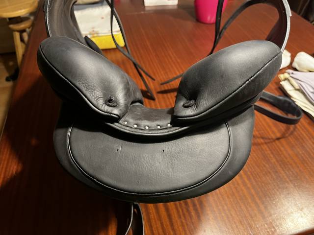 Sella da dressage Arion Atlas  17" - 2024