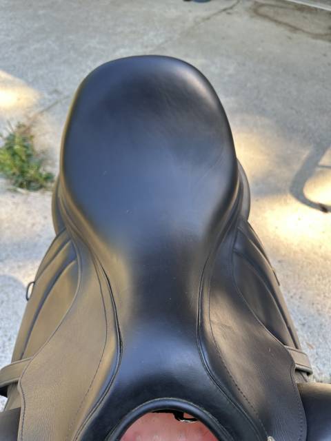 Sella da dressage Antar&egrave;s  17.5" - 2020
