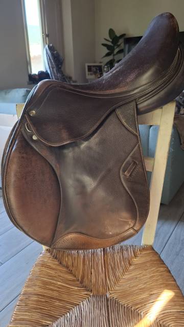 Sella da salto Equestro 17