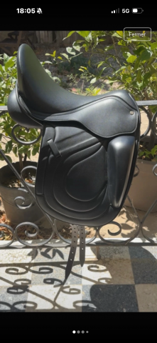 Sella da dressage   17" - 2024