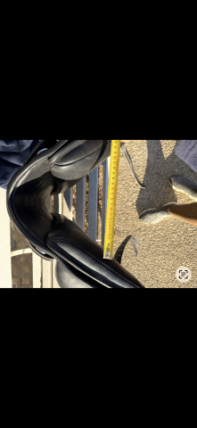 Sella da dressage   17" - 2024