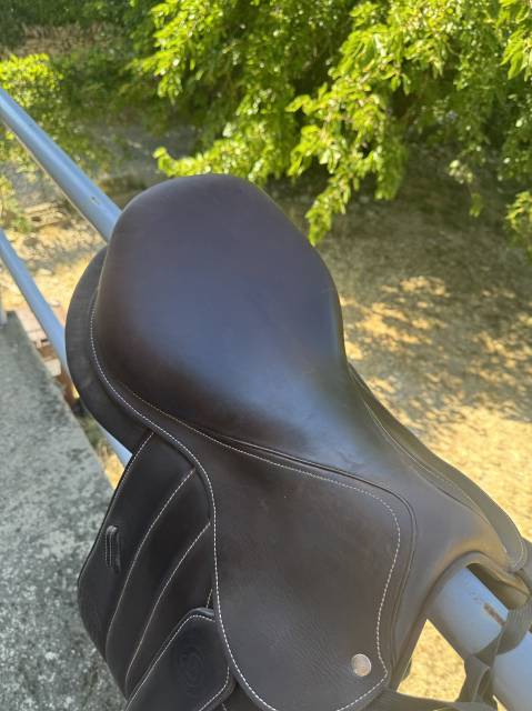  Forestier Nuovo