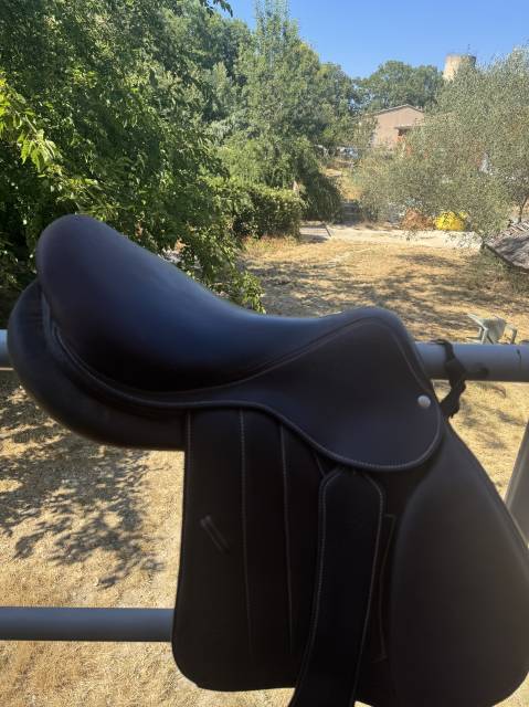 Forestier Nuovo