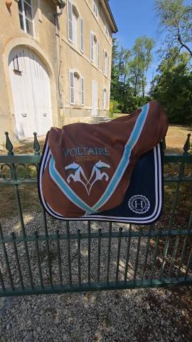 Sella da salto ostacoli Voltaire Design  17.5" - 2022