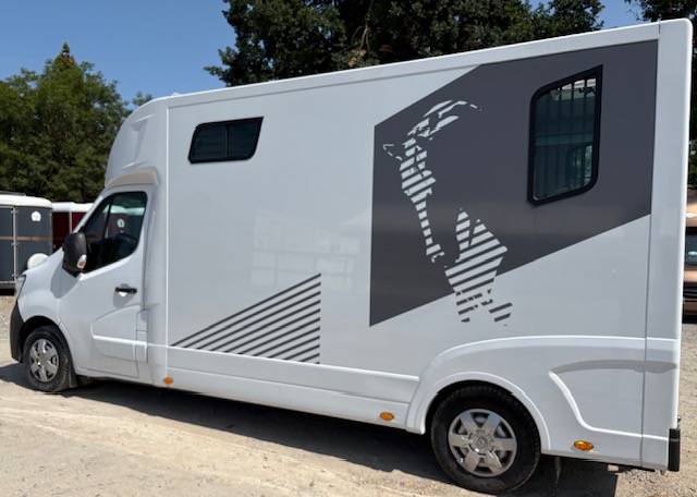 Van per Cavalli Theault Theault 2023 Occasione