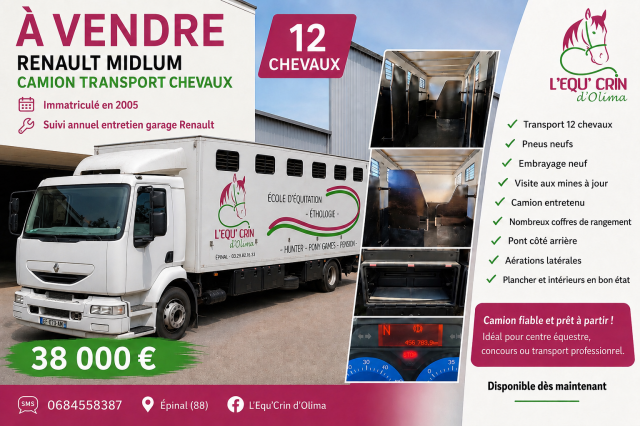 Camion per Cavalli Renault MIDLIUM 2005 Occasione