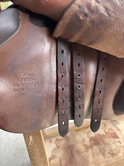 Sella da salto ostacoli Forestier  17.5" - 2023