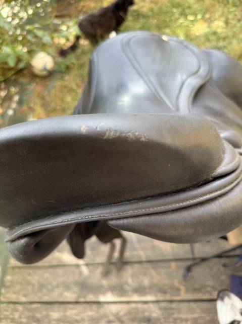 Sella da dressage Fleur de Lys  17" - 2022