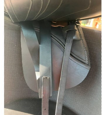 Sella da dressage   16" - 2020