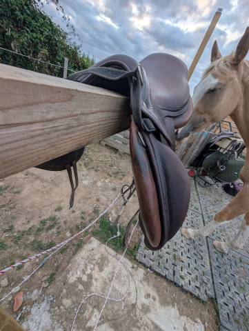 Sella da cross  SCB - Sellerie C&ocirc;te Basque  17.5" - 2018