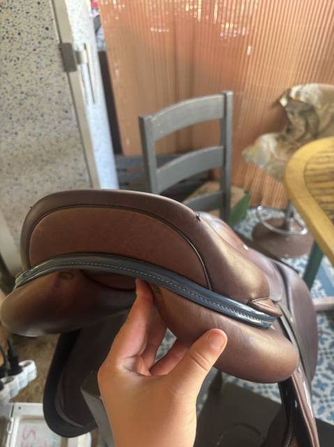 Sella da salto ostacoli Time Rider  17.5" - 2018