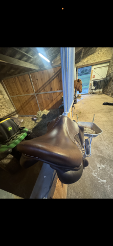 Sella da cross Rebelle  17" - 2023