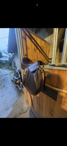 Sella da cross Rebelle  17" - 2023