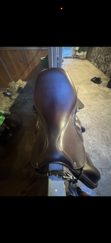 Sella da cross Rebelle  17" - 2023