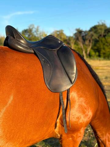 Sella da dressage Herv&eacute; Godignon  17.5" - 2012