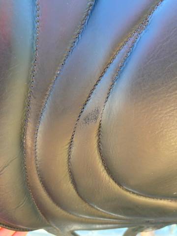 Sella da dressage Antar&egrave;s  17" - 2017