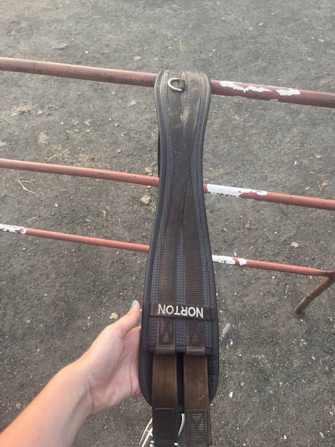 Sella mista Norton  17.5" - 2023
