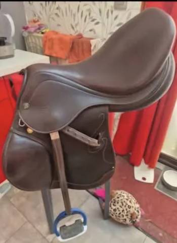 Sella da salto ostacoli Prestige Italia Passion 17" - 2022
