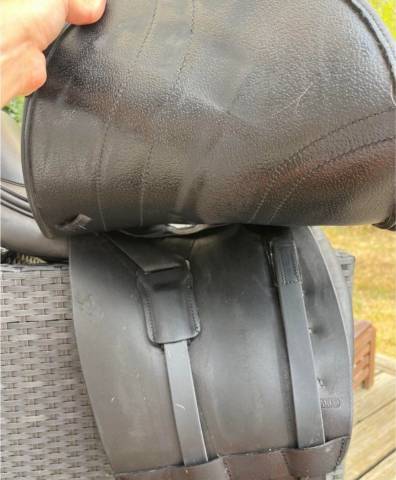 Sella da dressage Antar&egrave;s Carlos Pinto 16.5" - 2021