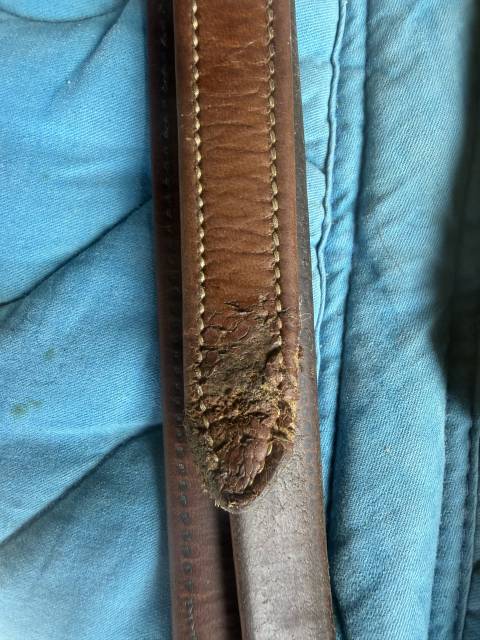 Sella da salto ostacoli Butet  17.5" - 2014