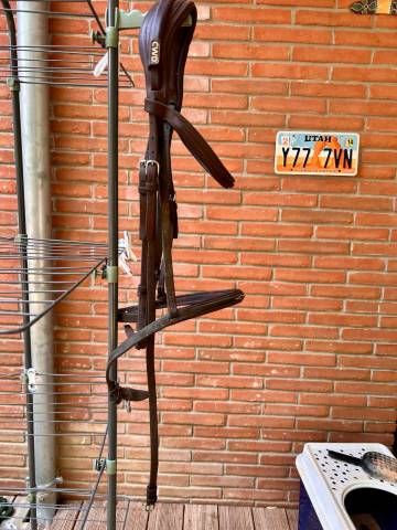  CWD Occasione