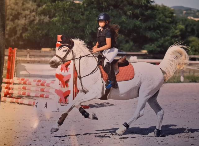 Sella Junior / Sella Pony Forestier  16" - 2013