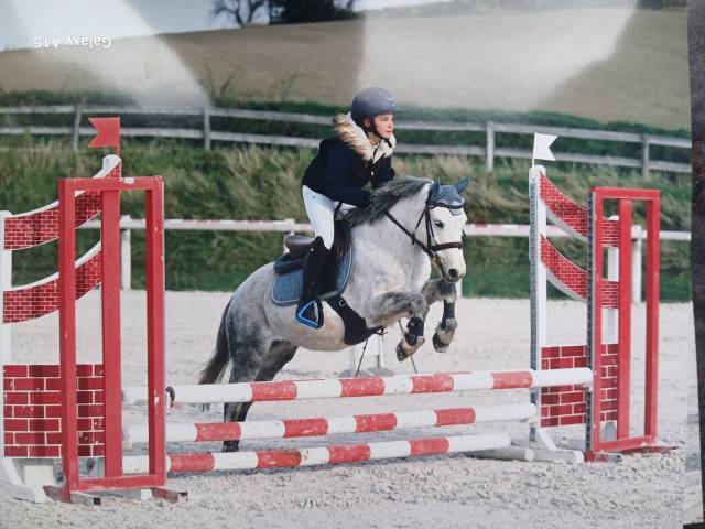 Sella Junior / Sella Pony Forestier  16" - 2013