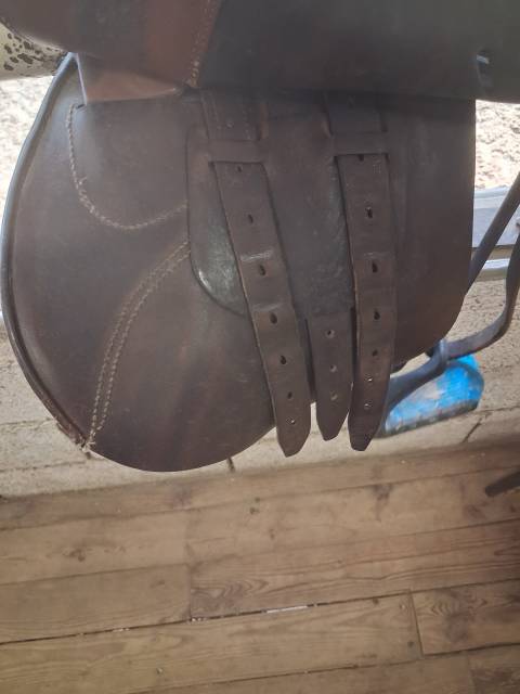 Sella Junior / Sella Pony Forestier  16" - 2013