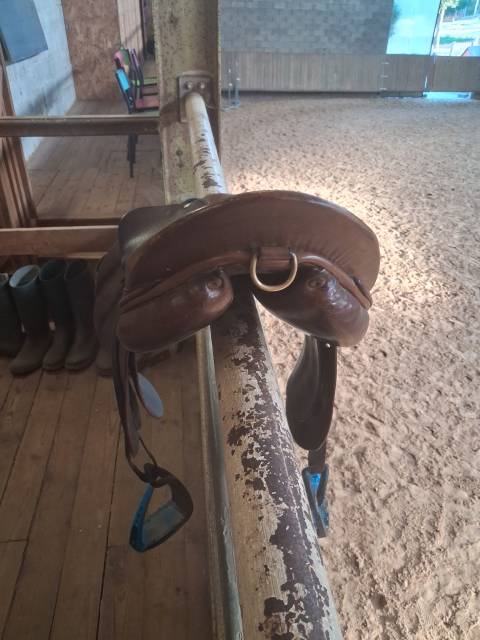 Sella Junior / Sella Pony Forestier  16" - 2013