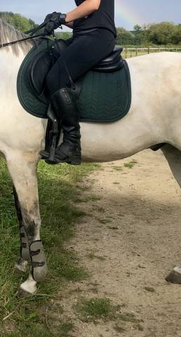 Sella mista Devoucoux  17.5" - 2021