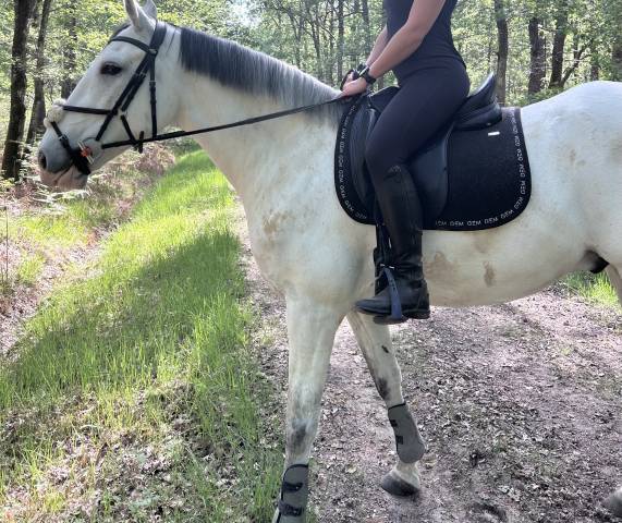 Sella da dressage Time Rider New Era 17" - 2021