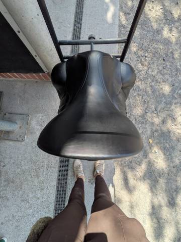 Sella da dressage Butet  17.5" - 2021