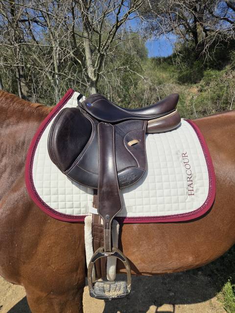 Sella da salto ostacoli Ikonic Light jumping  16.5" - 2021
