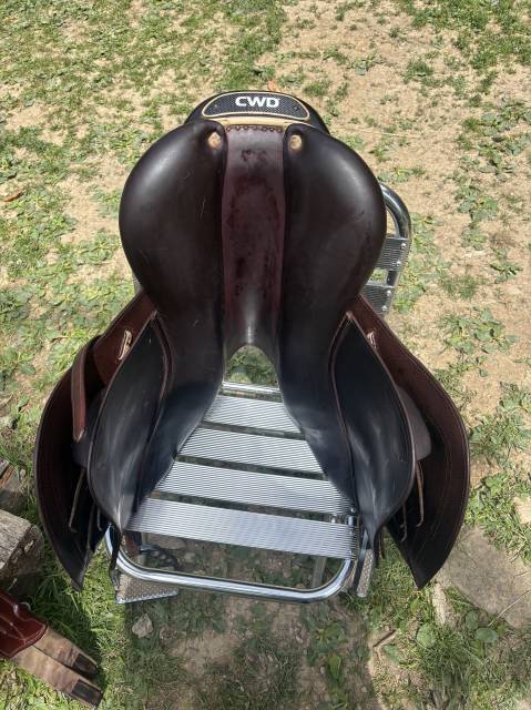 Sella da salto ostacoli CWD  16" - 2019