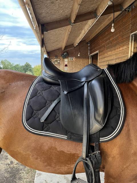 Sella da dressage Equipe  17" - 2020