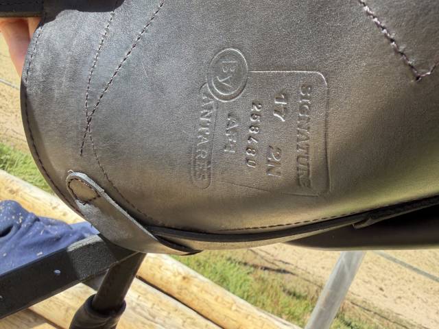 Sella da dressage Antar&egrave;s  17" - 2025