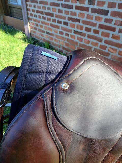 Sella da salto ostacoli CWD  16.5" - 2018