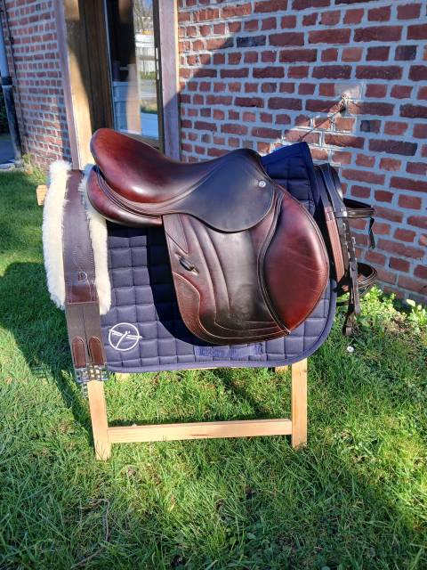 Sella da salto ostacoli CWD  16.5" - 2018