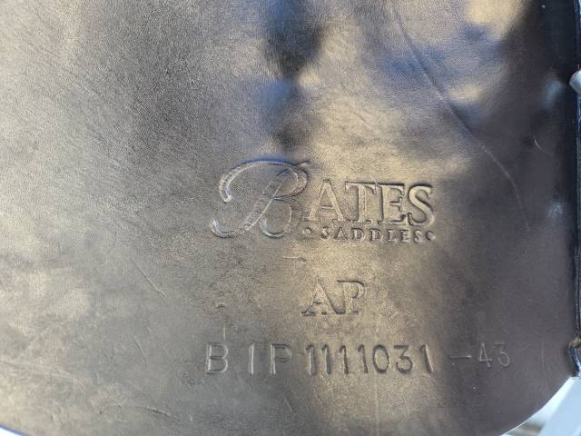 Sella mista Bates  17" - 2018