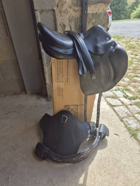 Sella da salto ostacoli Prestige Italia  17.5" - 2015