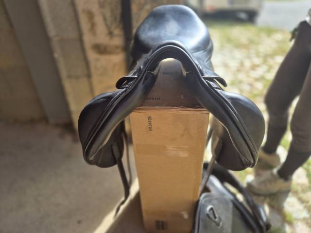 Sella da salto ostacoli Prestige Italia  17.5" - 2015