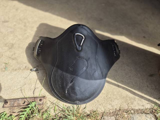 Sella da salto ostacoli Prestige Italia  17.5" - 2015