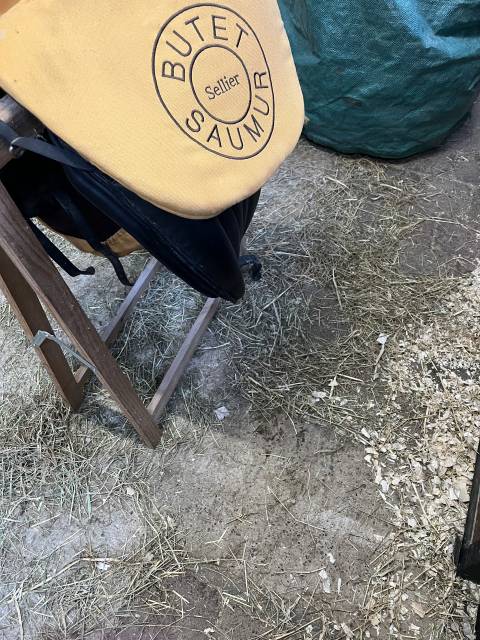 Sella da dressage Butet  17" - 2015
