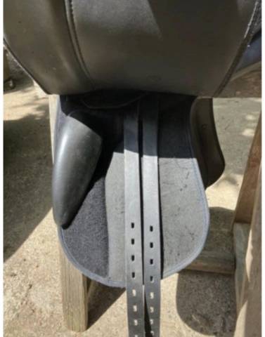 Sella da dressage  Showmaster  18" - 2022
